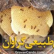 عسل درمانی گراوان کردستان