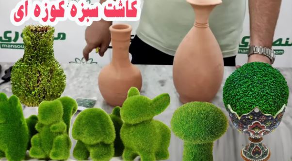 آموزش کاشت سبزه روی کوزه - سبزه عید با تخم شاهی